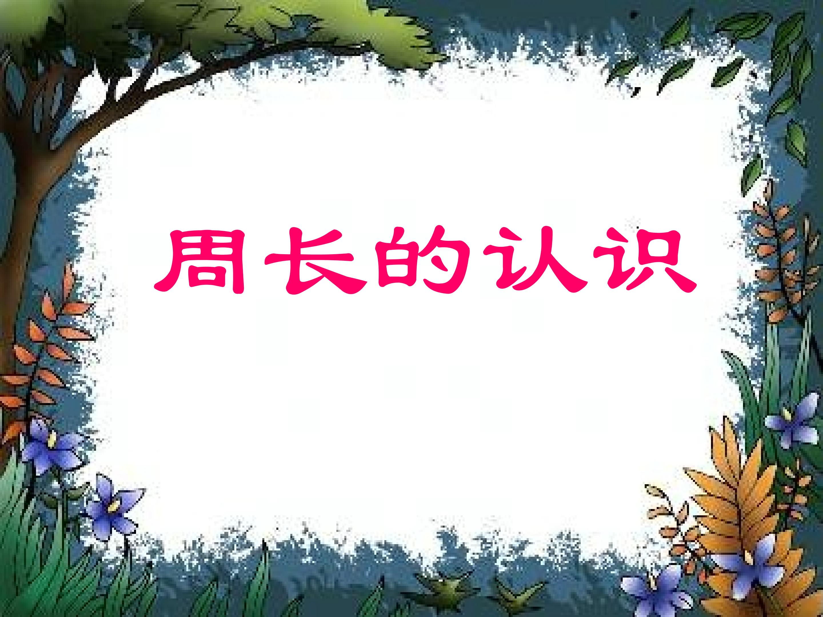 周长的认识