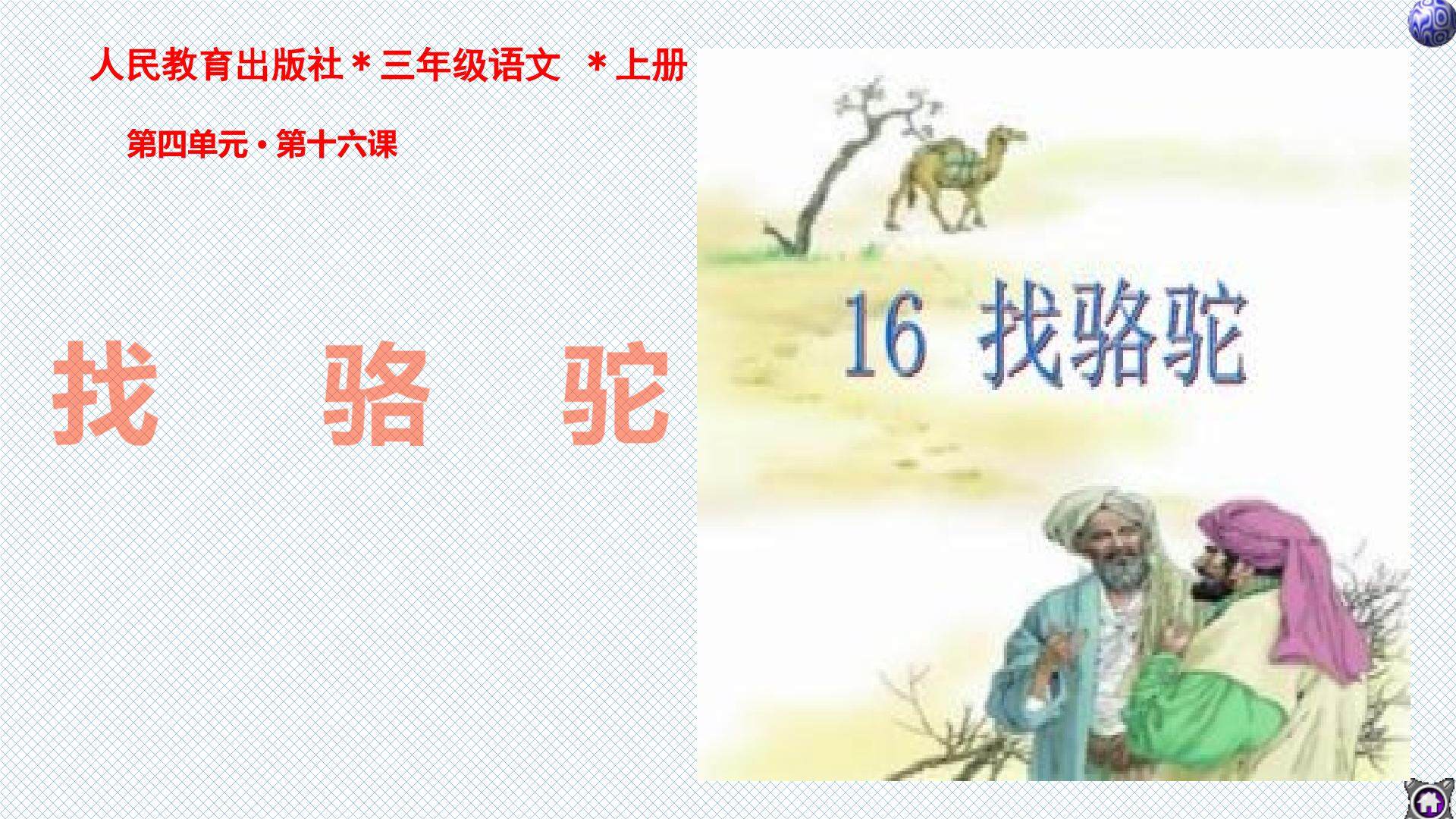 找骆驼