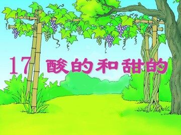 17 酸的和甜的
