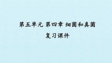第四章  细菌和真菌 复习课件