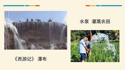 输送血液的泵----心脏