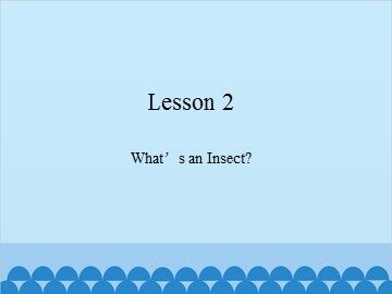 Lesson 2  What's an Insect?_课件1