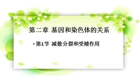 一  减数分裂