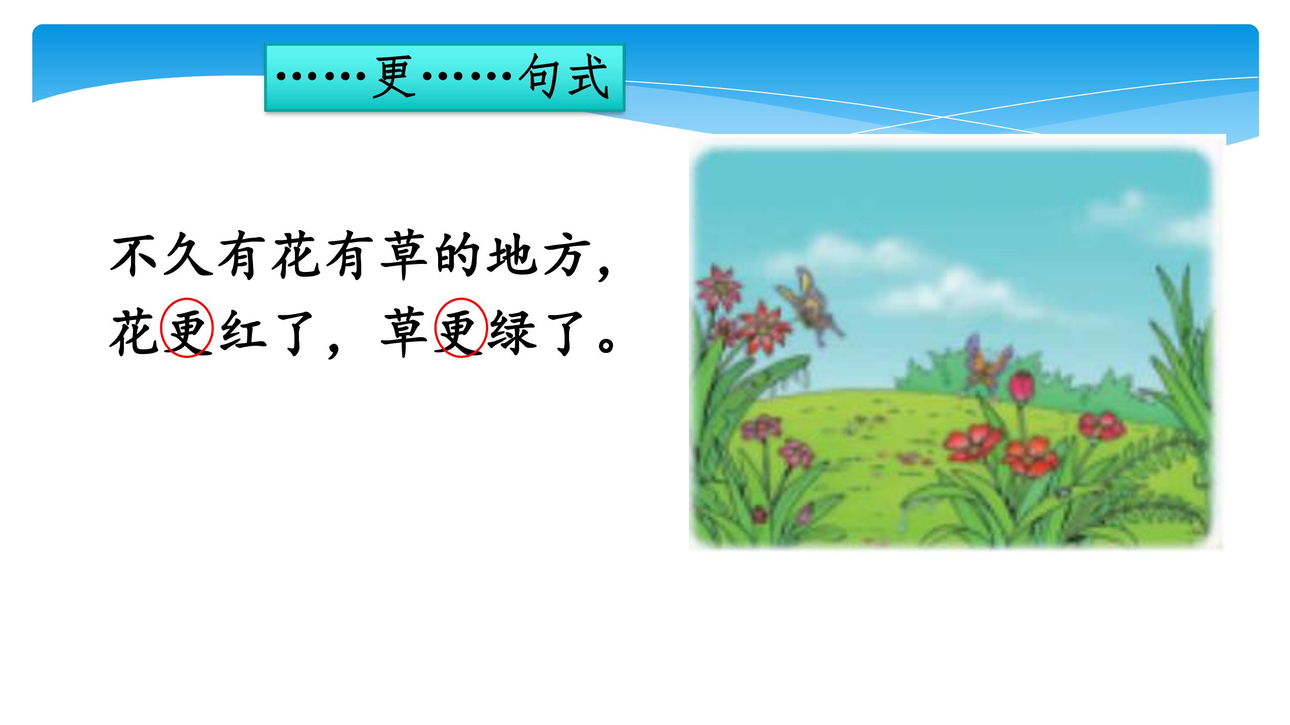 47.jpg
