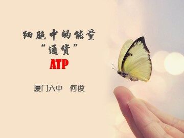 细胞的能量“通货”ATP_何俊-厦门六中
