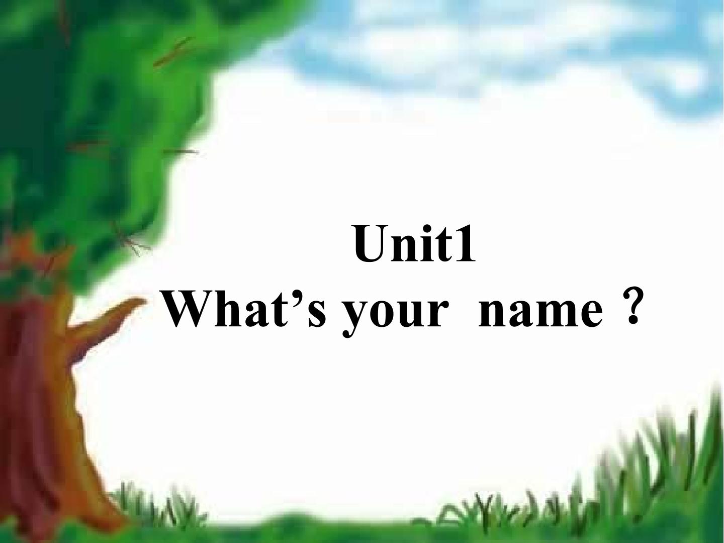 what   is  your  name ?