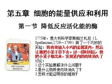 一  酶的作用和本质