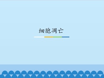 细胞凋亡_课件1