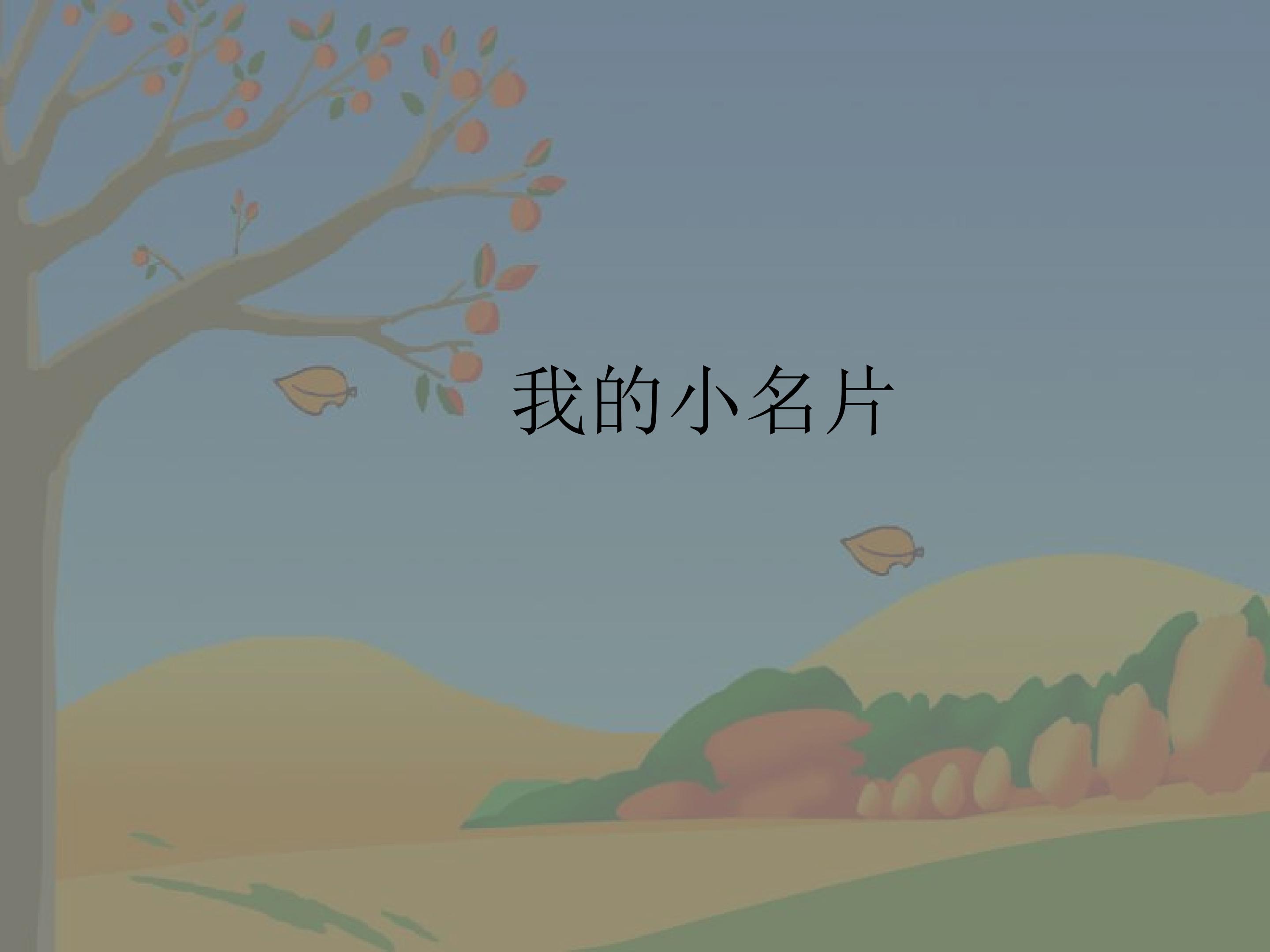 我的小名片_课件1