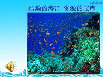 第二节 富集在海水中的元素——氯