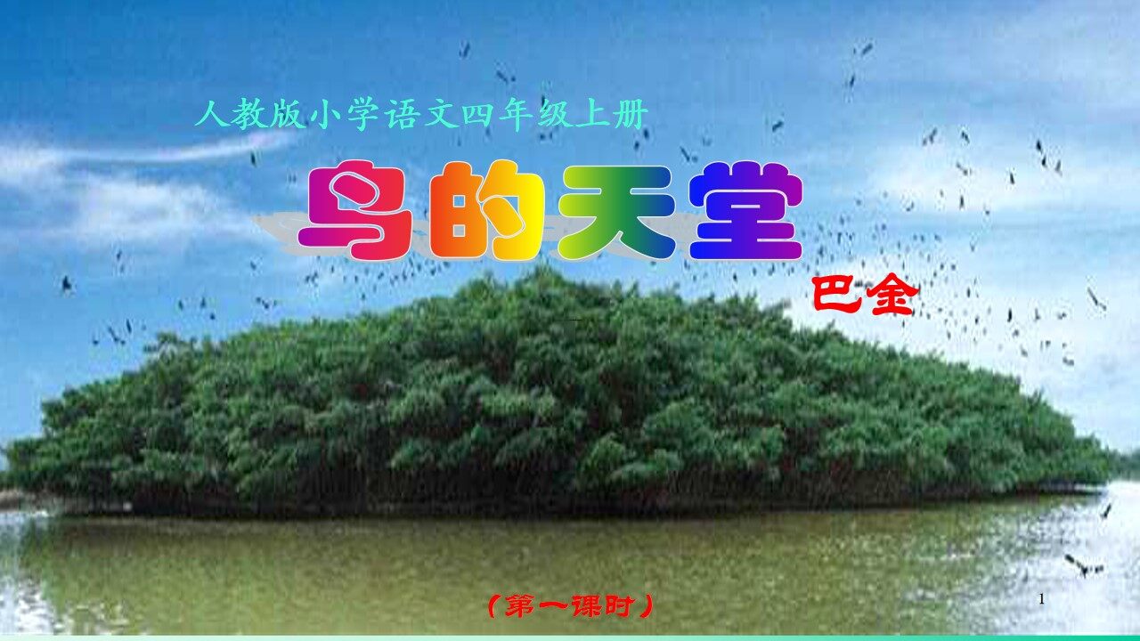 《鸟的天堂》