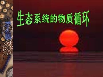 生物高中必修3第五章第三节课件6