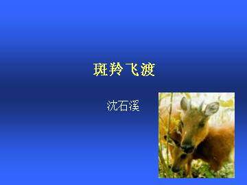 斑羚飞渡_课件2