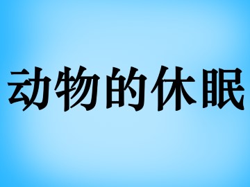 动物的休眠_课件1