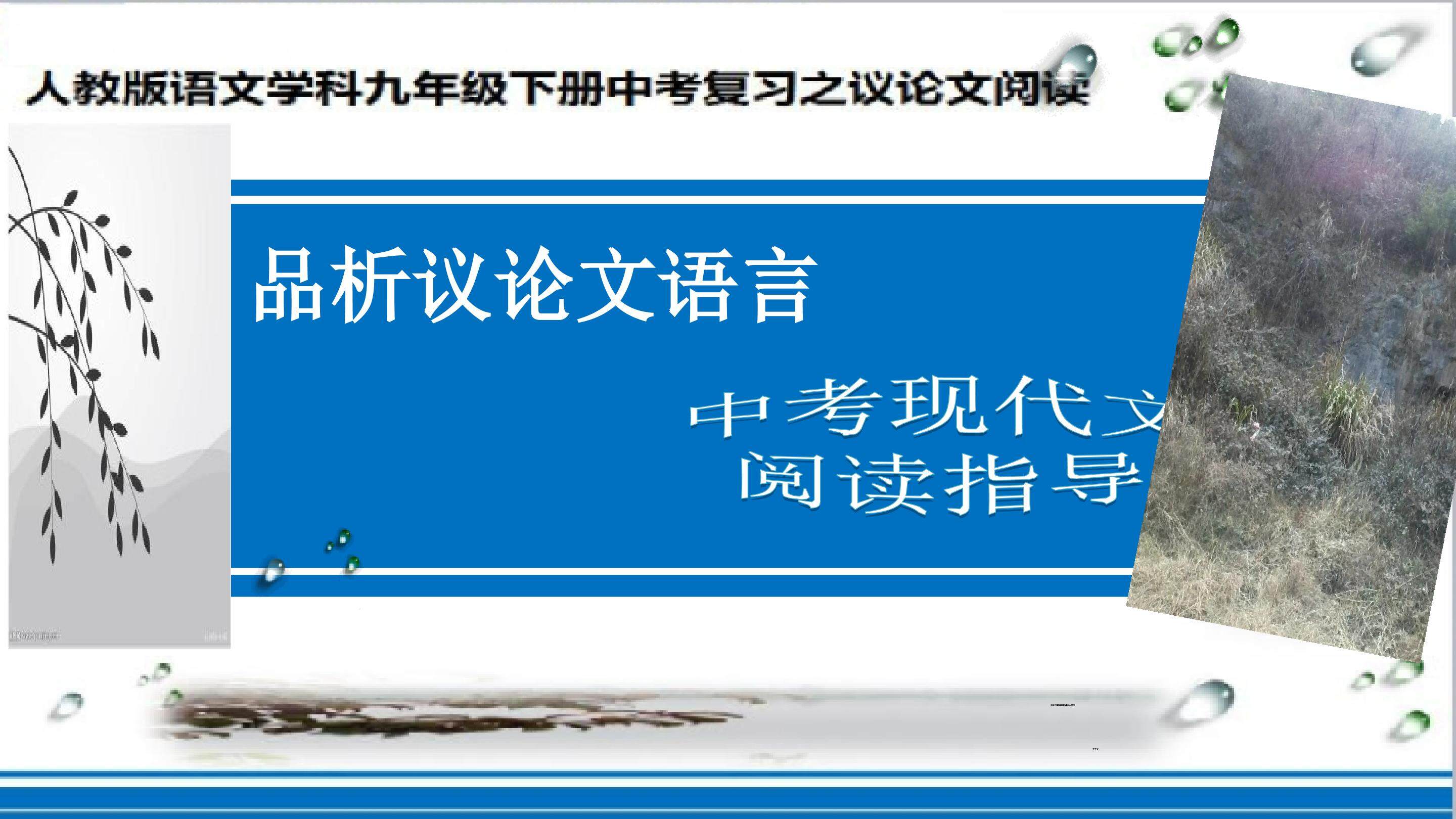 品味议论文语言----中考现代文阅读指导