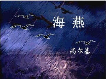 海燕_课件8