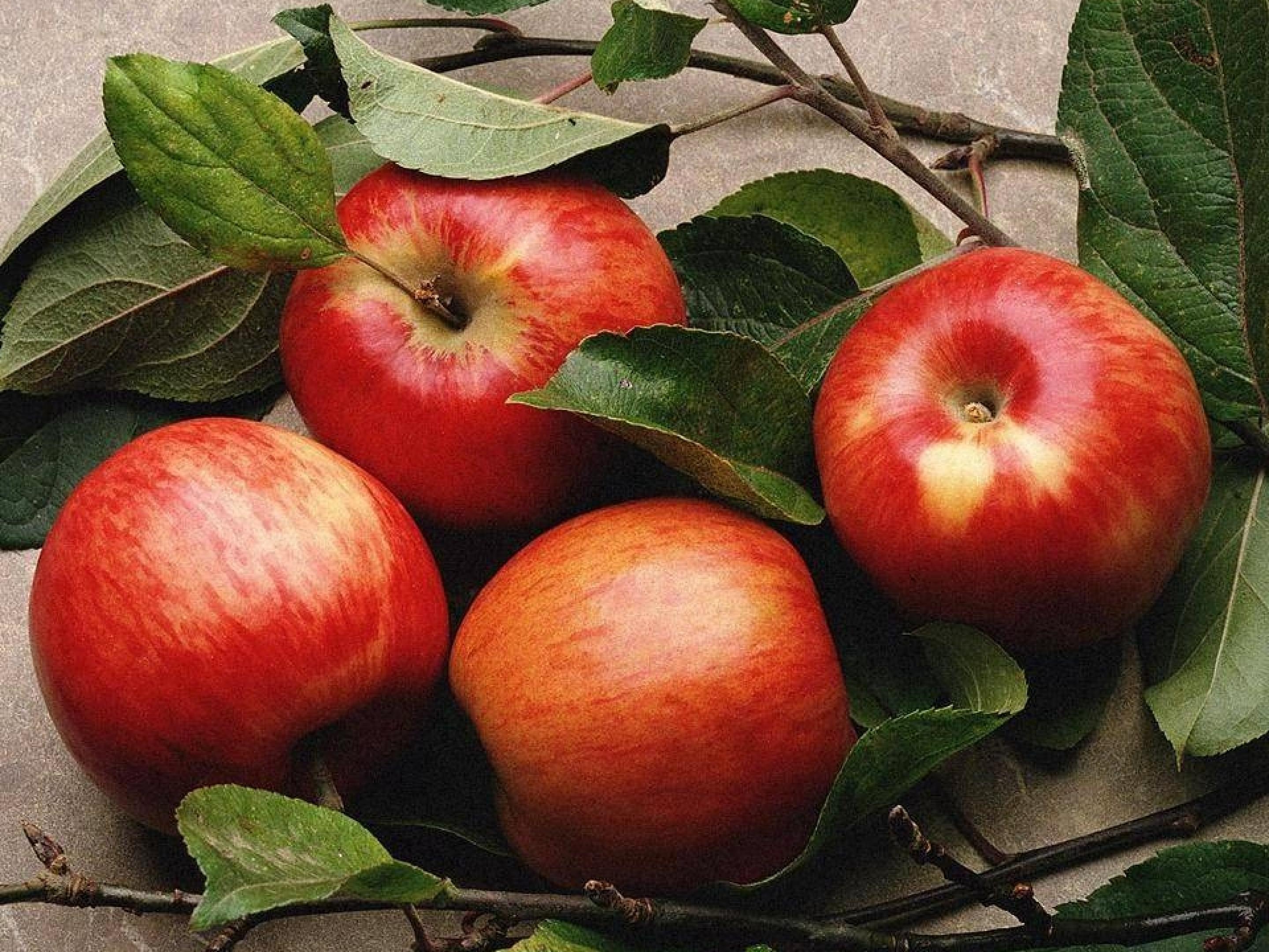 14.jpg
