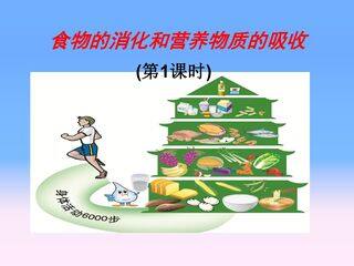 食物的消化和营养物质的吸收