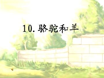 24  骆驼和羊