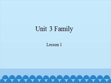 Unit 3 Family-Lesson 1_课件1