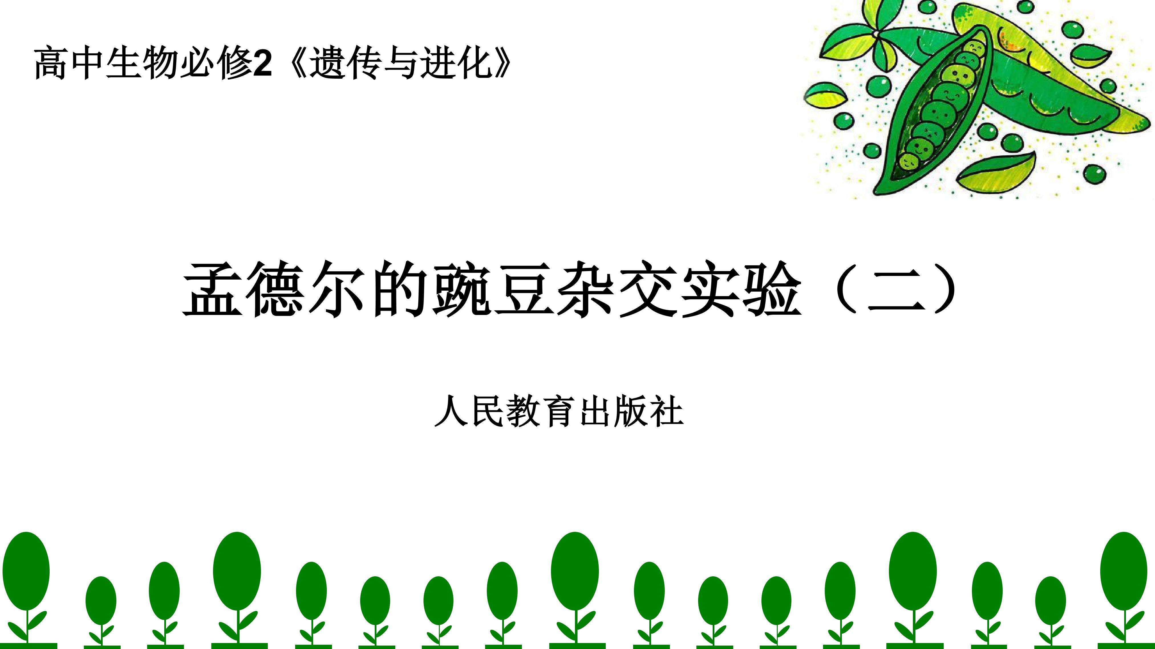 孟德尔的豌豆杂交实验（二）