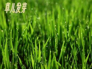 16 大自然的语言