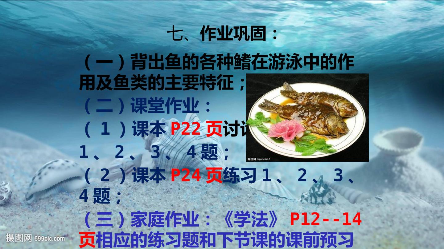 26.jpg