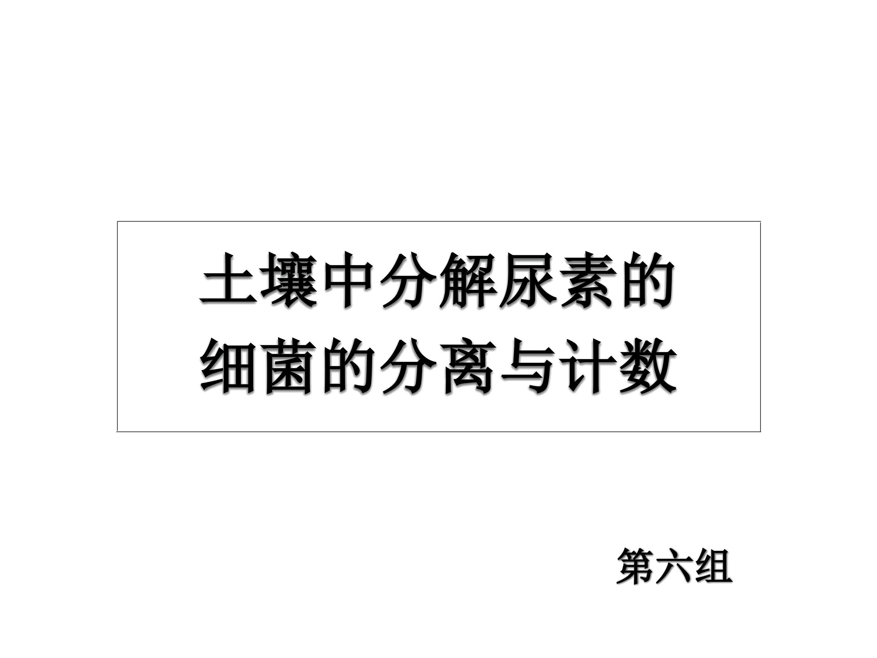 第6组同学的实验结果分析课件