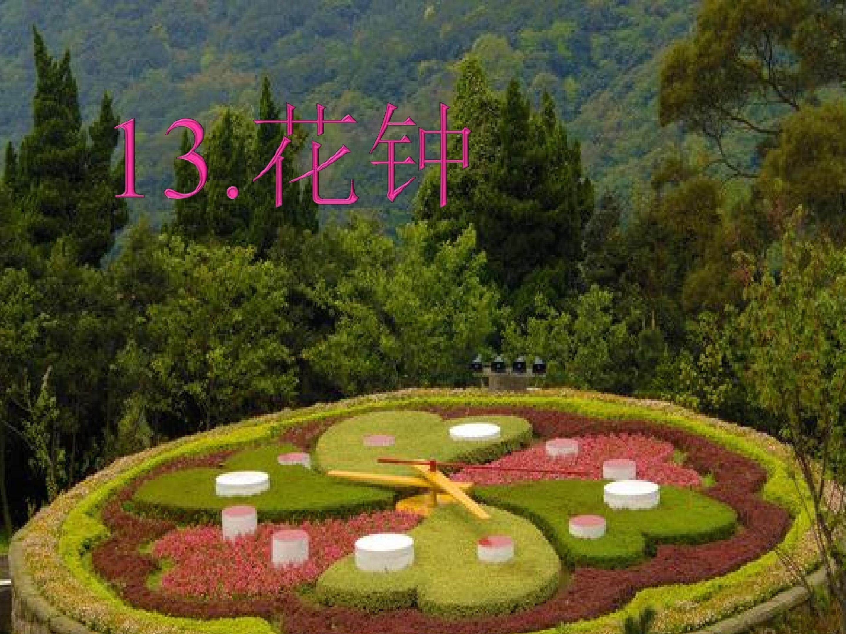花钟