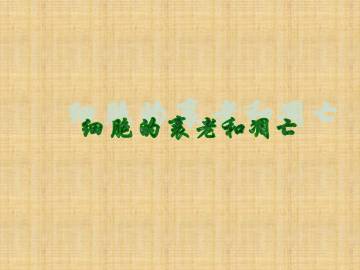 细胞的衰老和凋亡_课件1