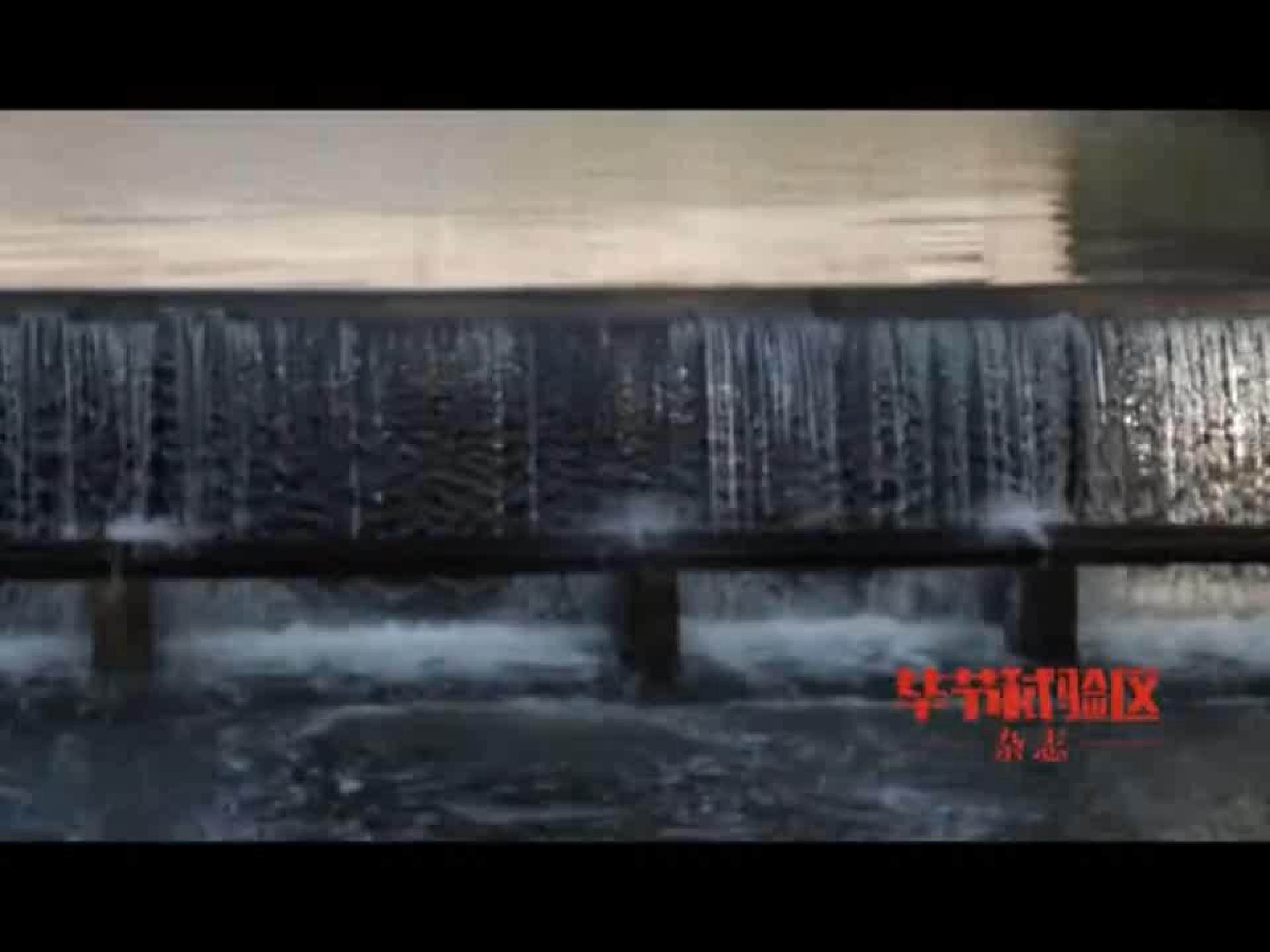 生态系统稳态的维持课件-理艳霞
