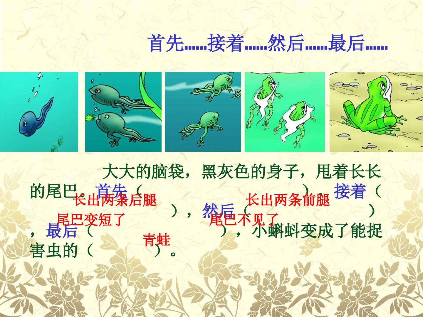 37.jpg