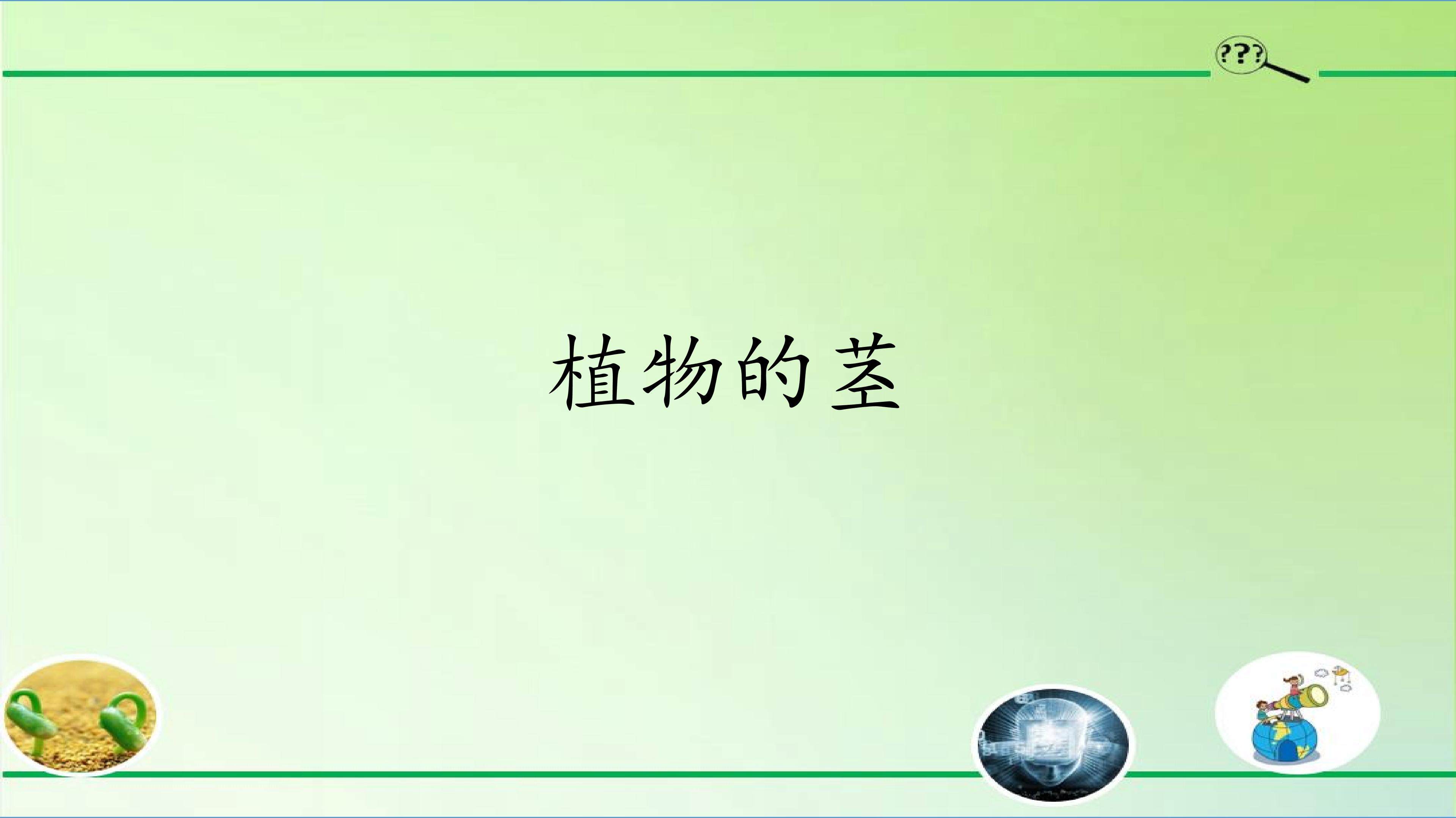 植物的茎
