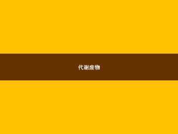 代谢废物_课件4