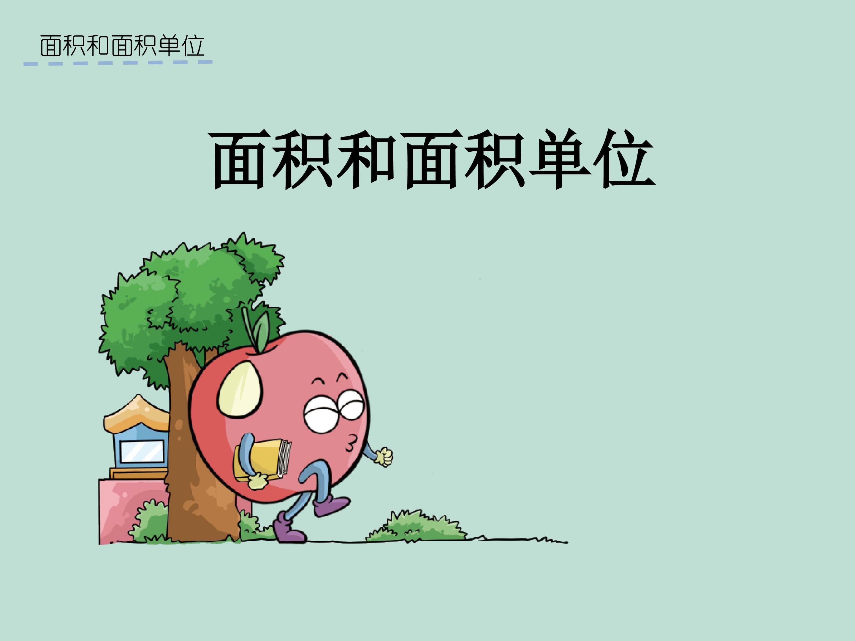 面积和面积单位