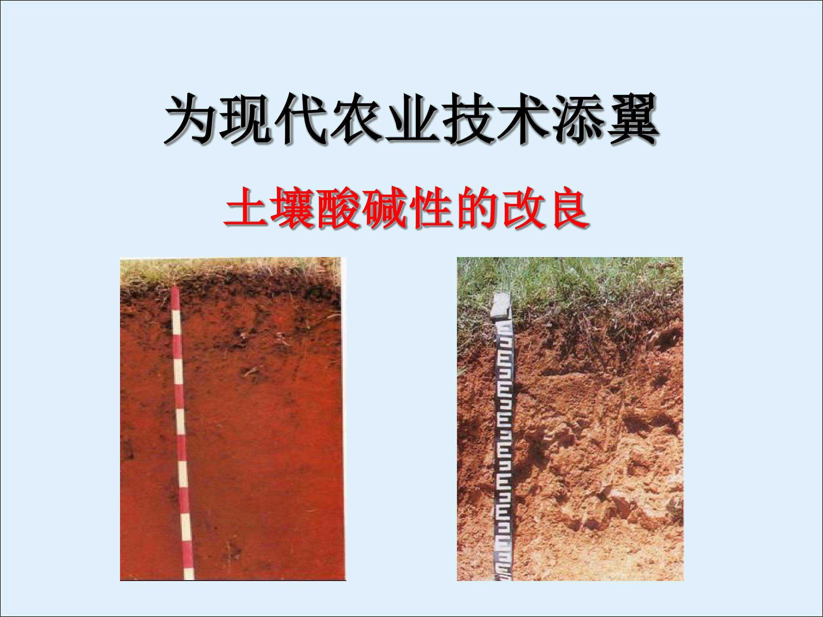 土壤酸碱性的改良_课件1