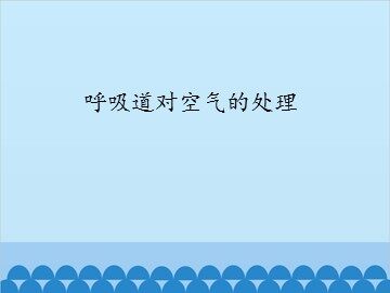 呼吸道对空气的处理_课件1