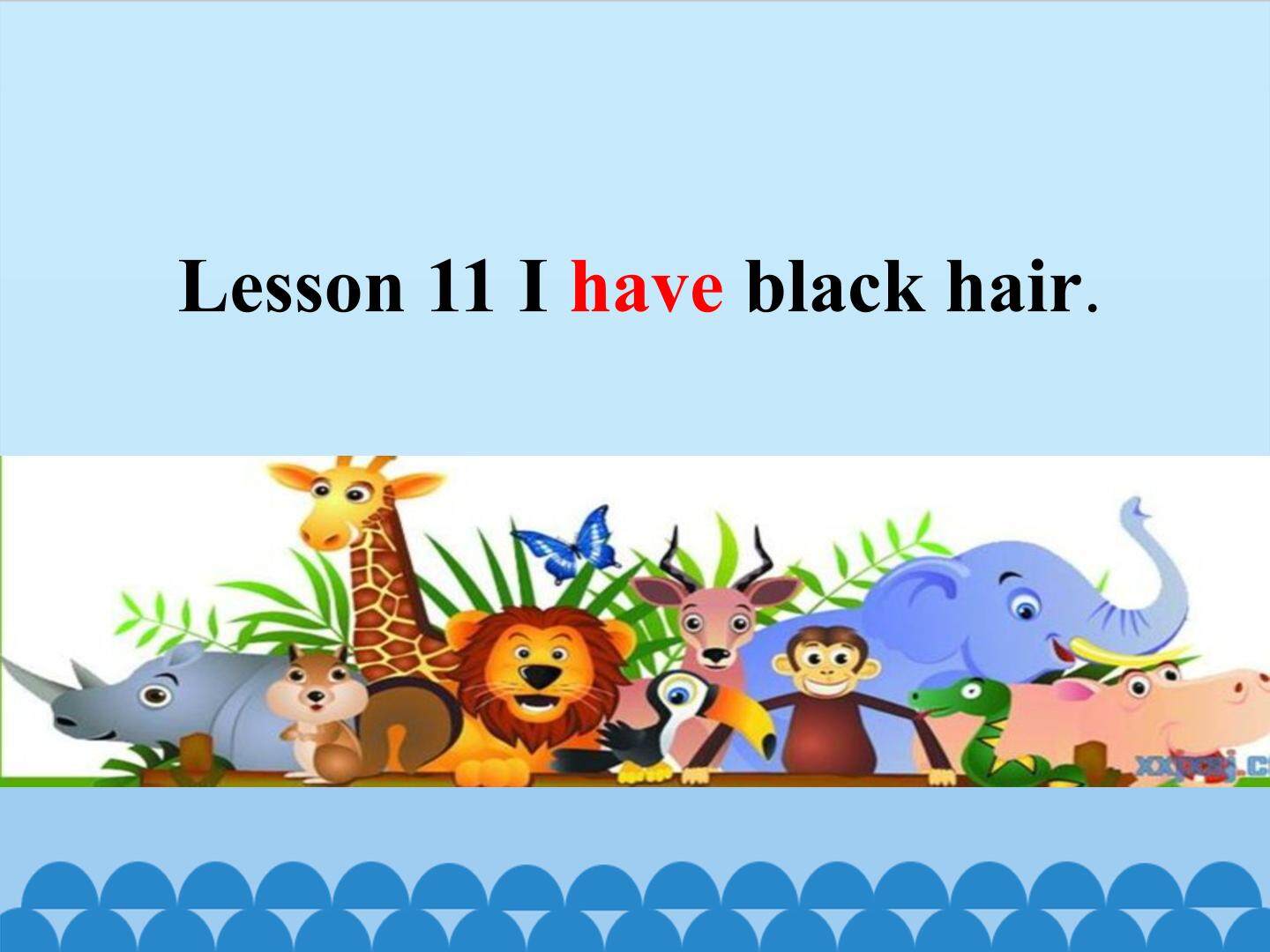 Lesson 11 I have black hair