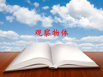 5 观察物体（一）