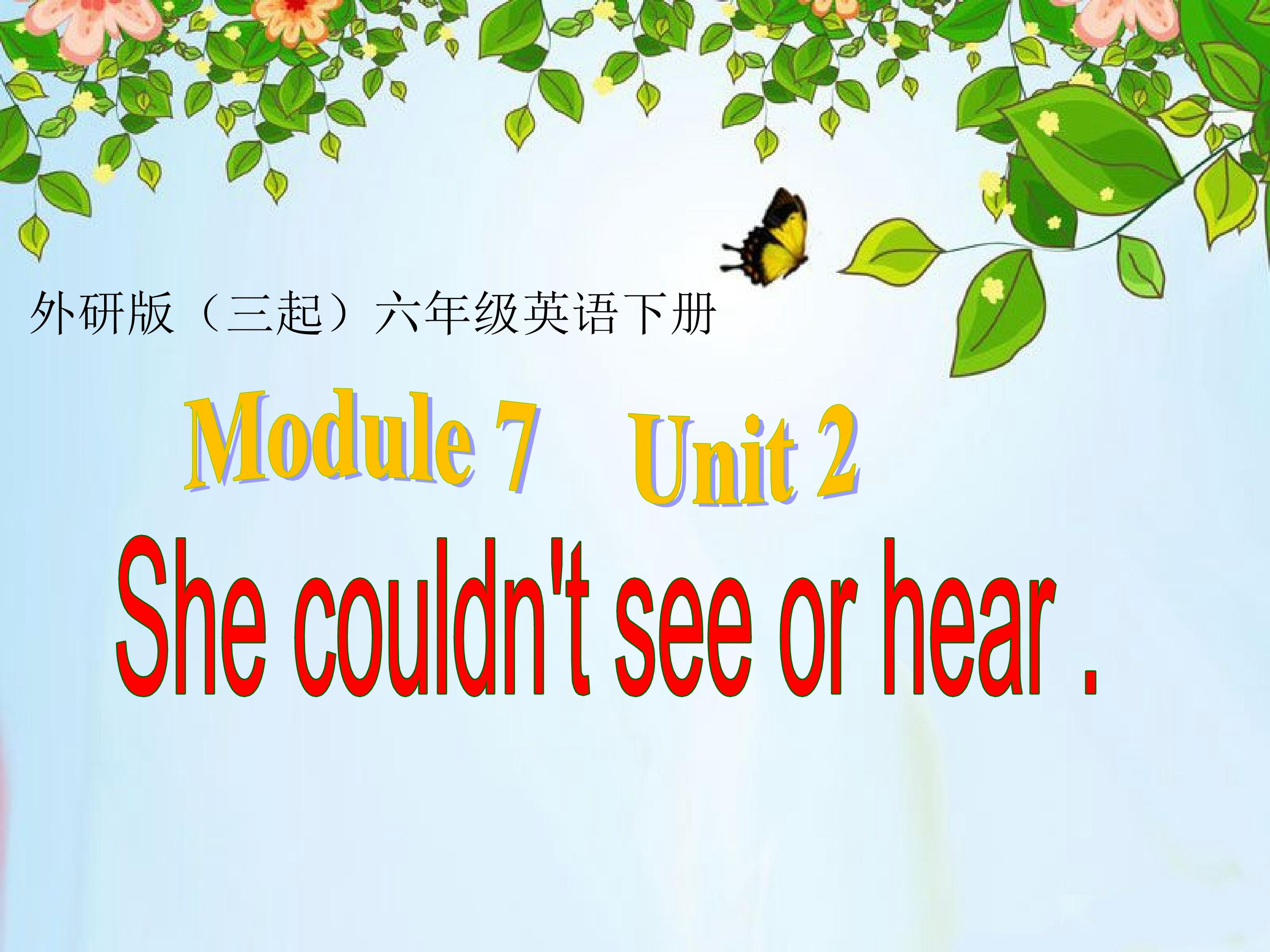 Module 7 She couldn't see or hear.