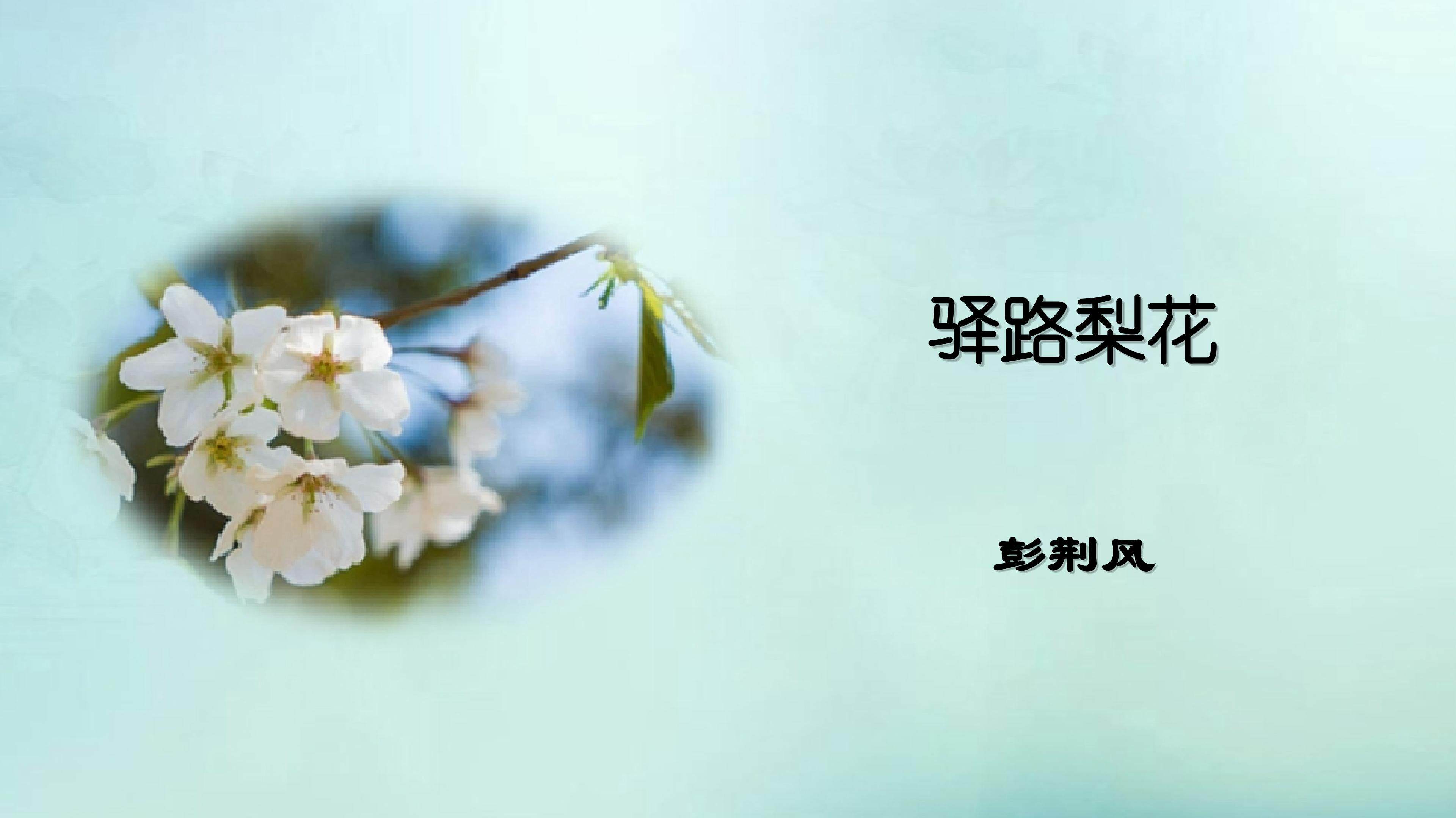 驿路梨花