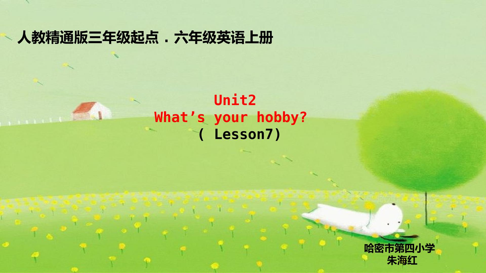 精通六年级下Unit2 What's your hobby?Lesson7