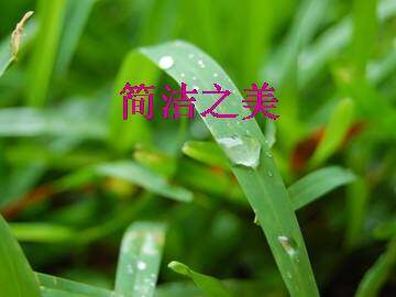简洁之美_课件1