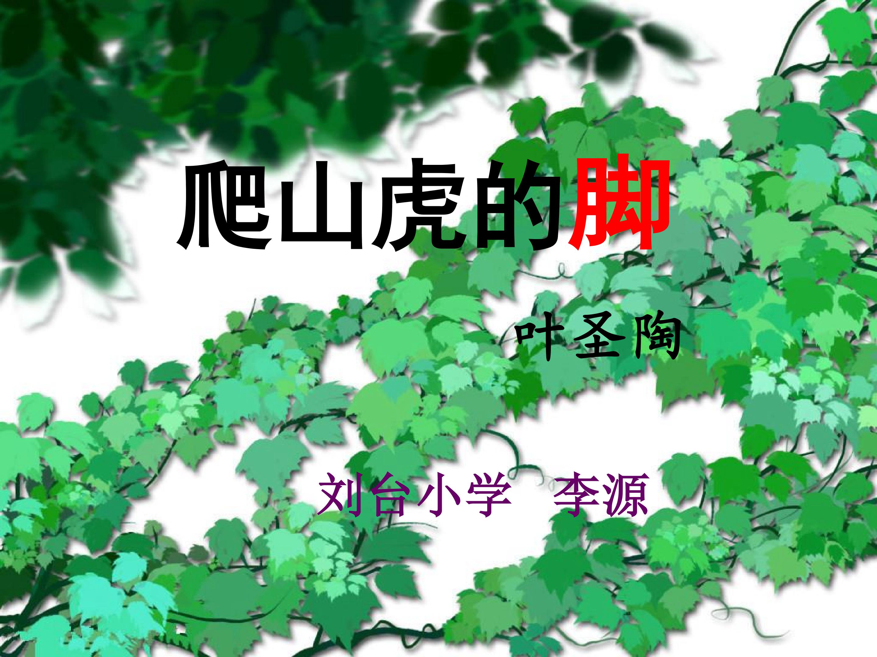 6　爬山虎的脚