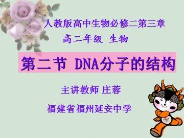 DNA分子的结构-福建省福州延安中学-庄蓉