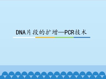 DNA片段的扩增—PCR技术_课件1