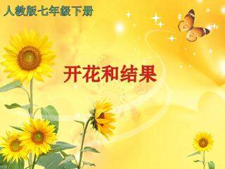 开花和结果