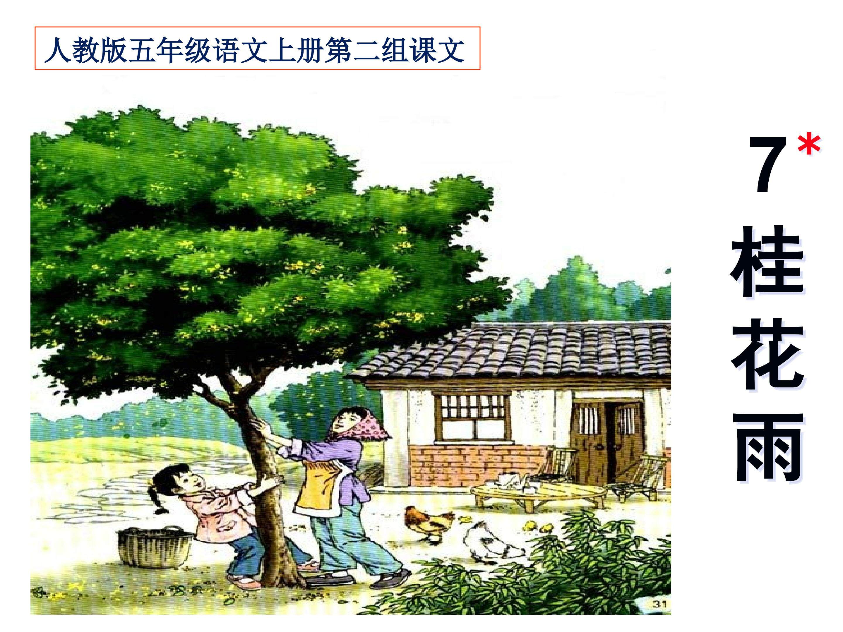 7《桂花雨》
