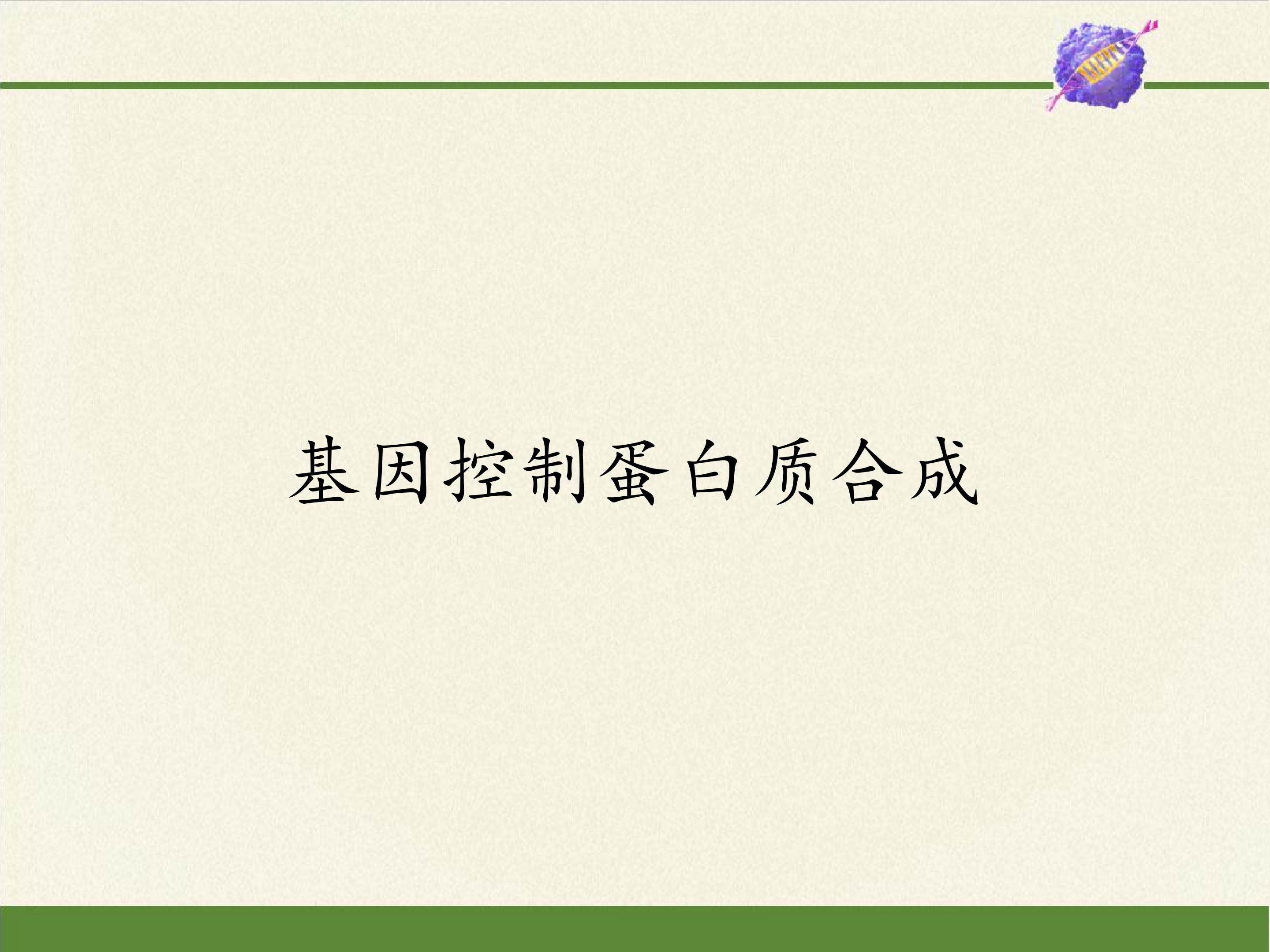 基因控制蛋白质合成