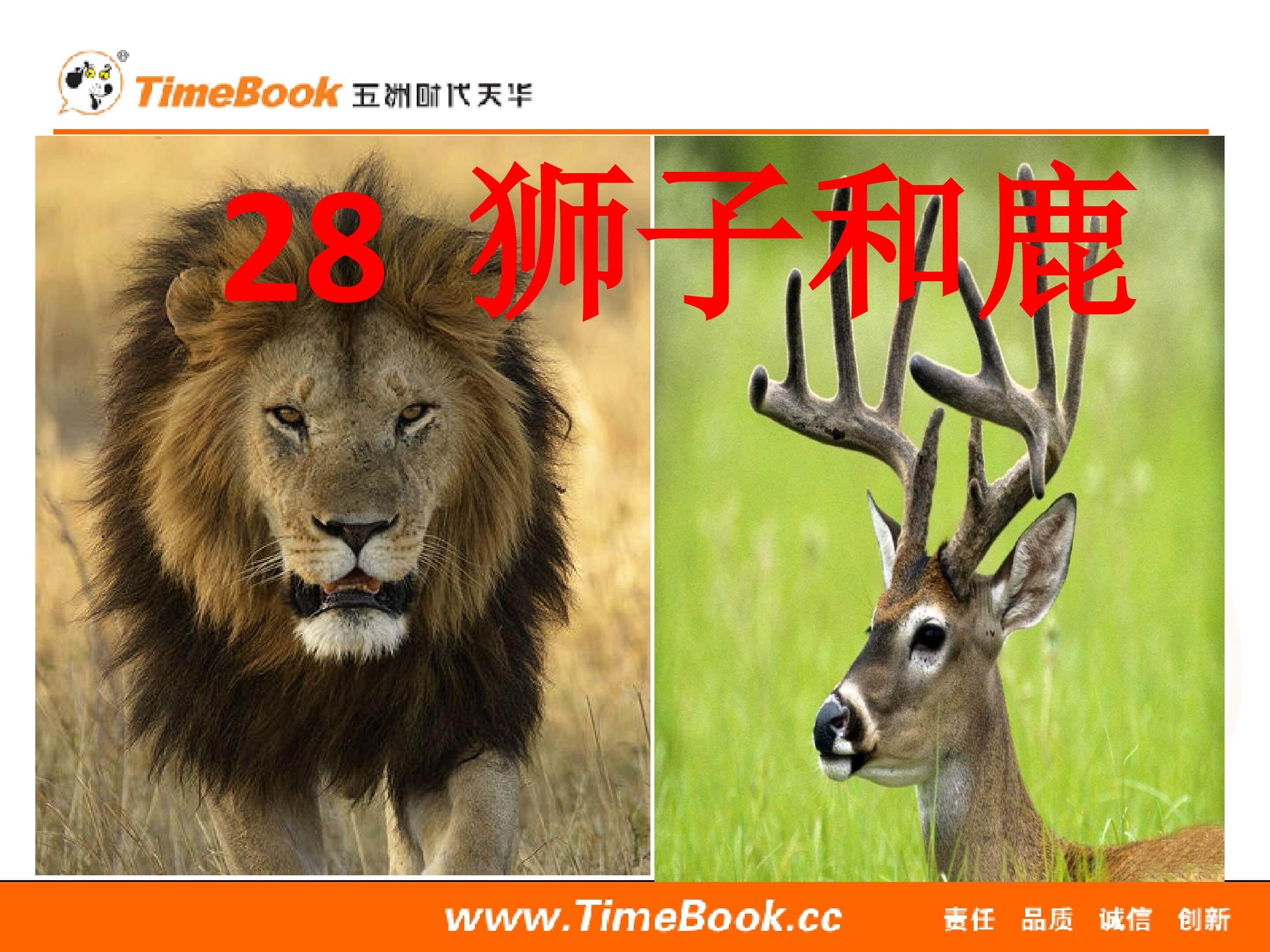 28狮子和鹿